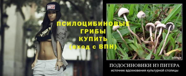 сатива Абдулино