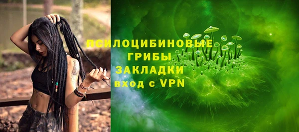 дживик Абинск