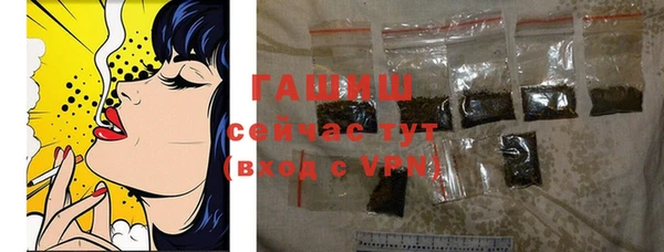 хмурый Абаза