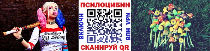 Псилоцибиновые грибы Cubensis  купить закладку  сайты даркнета Telegram  Новоалександровск 